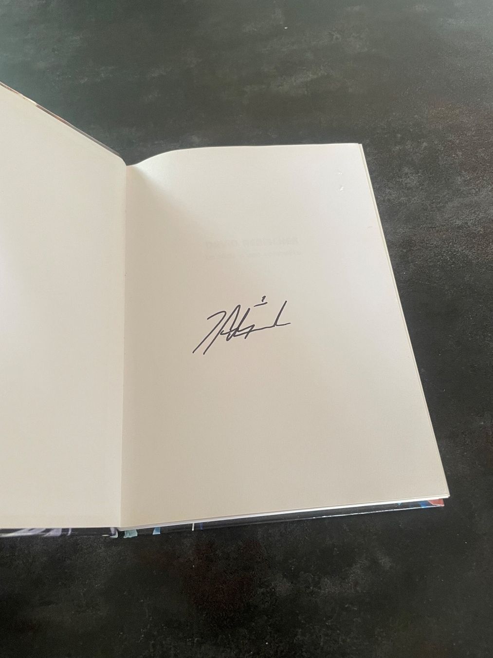 Libri: Livre Hockey David Aebischer Signé – Usato da Vallamand venduto da Bricbracbroc82 1