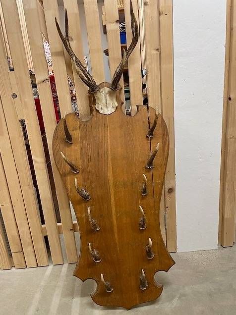 Canne da pesca: Porte-fusils de chasse – Usato da Colombier NE venduto da Boy48 1