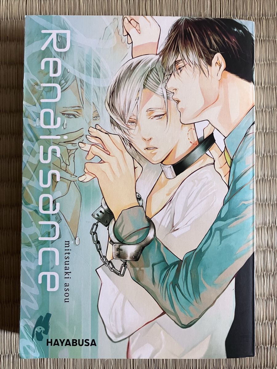 Fumetti: BL Manga Renaissance 18+ – Usato da Zürich venduto da Datura