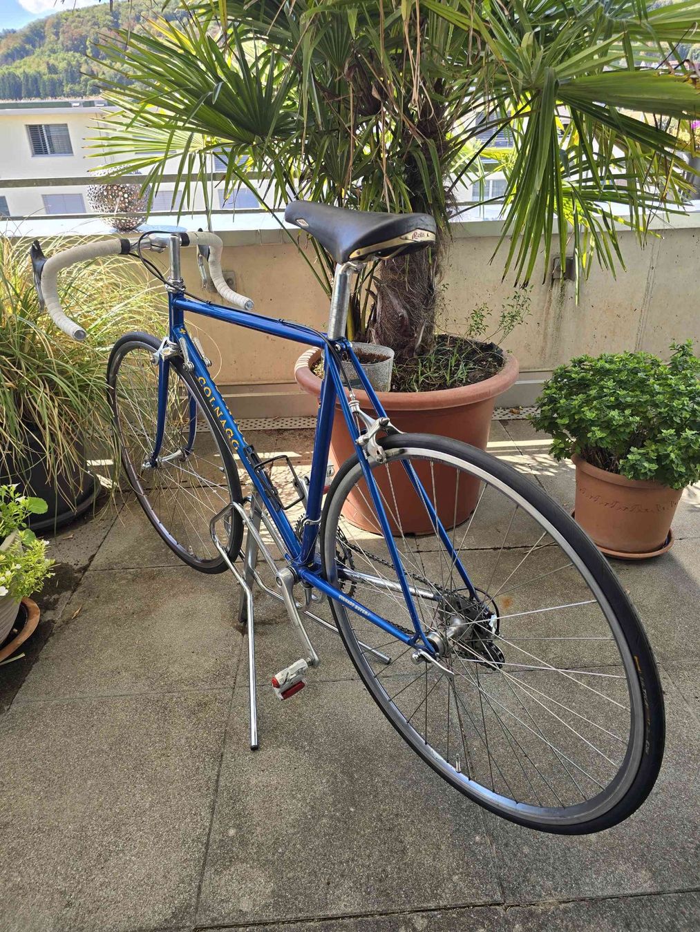 Colnago Vélos: COLNAGO Super Rennrad RH 55 – D'occasion à Stein AG par Papageno_3