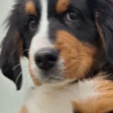 Profile image of lunawinty87