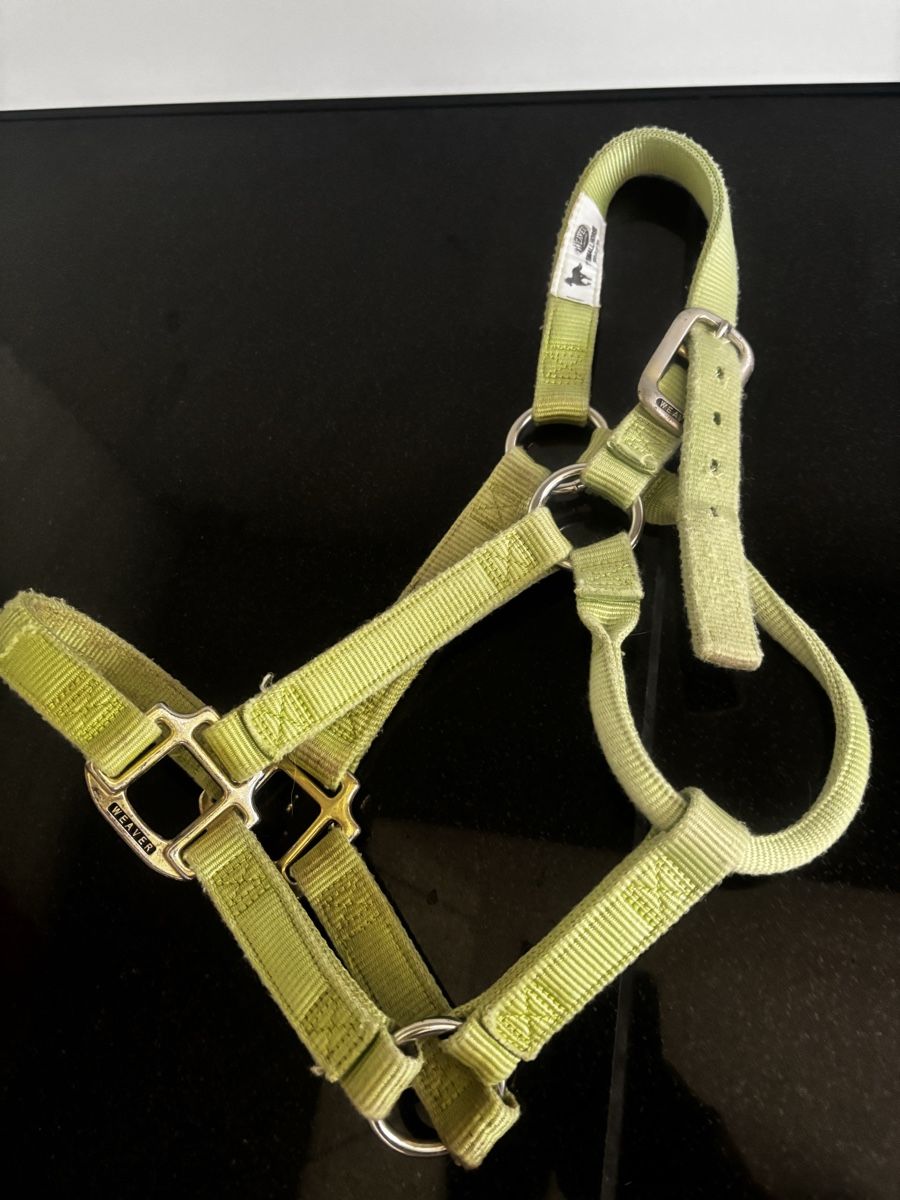 Brides, licols: Weaver Halfter Small Horse – D'occasion à Menzingen par JeKa84