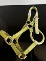 Weaver Halfter Small Horse