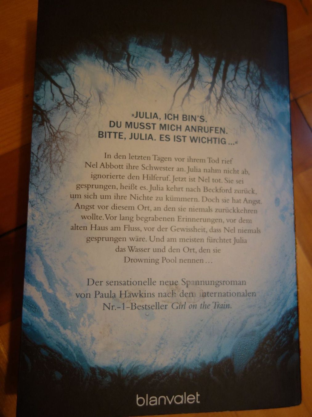 Bücher: Into the Water – Neu (gemäss Beschreibung) aus Bubikon von An780 1