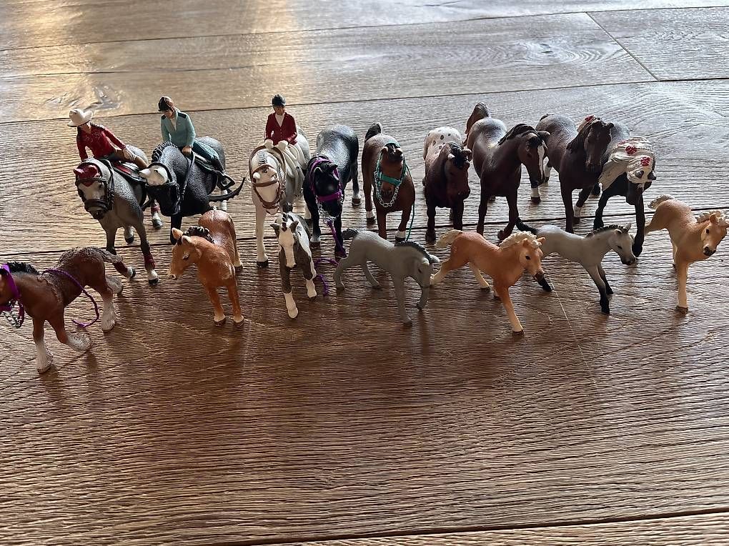 Schleich Giocattoli: 16 Schleich Pferde mit diversem Zubehör – Usato da Steffisburg venduto da car_qwr6