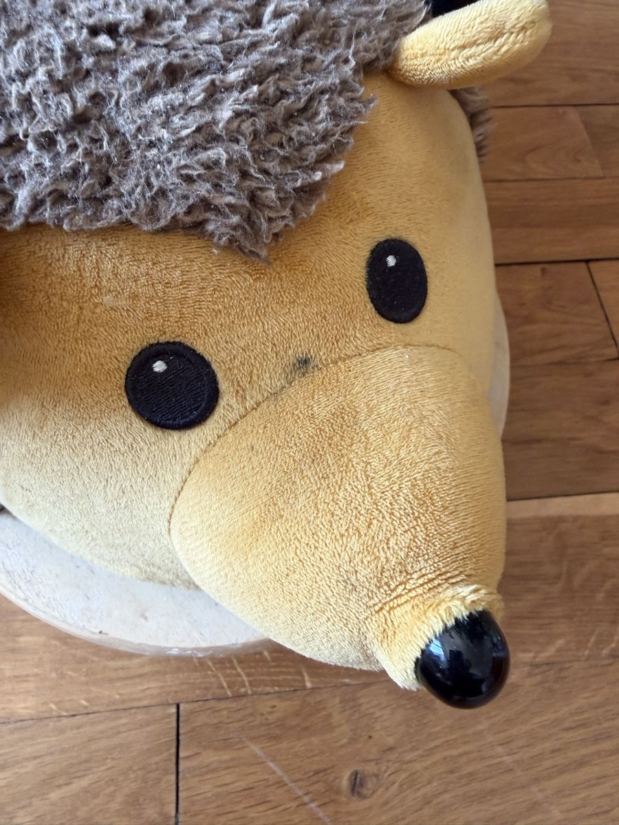 Fahrzeuge für Kinder: Wheely Bug Igel – Gebraucht aus Zürich von Soschi-25 3