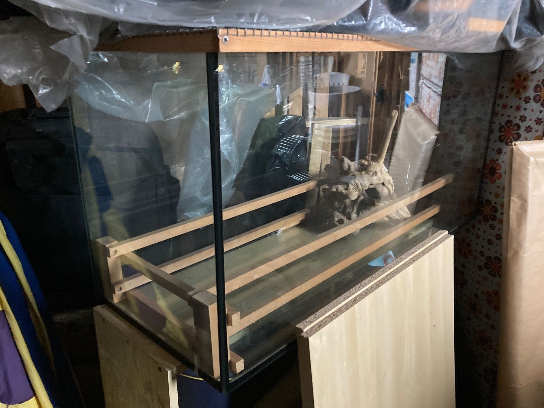 Terrario: Aquarium Terrarium – Usato da Arbon venduto da Barth05