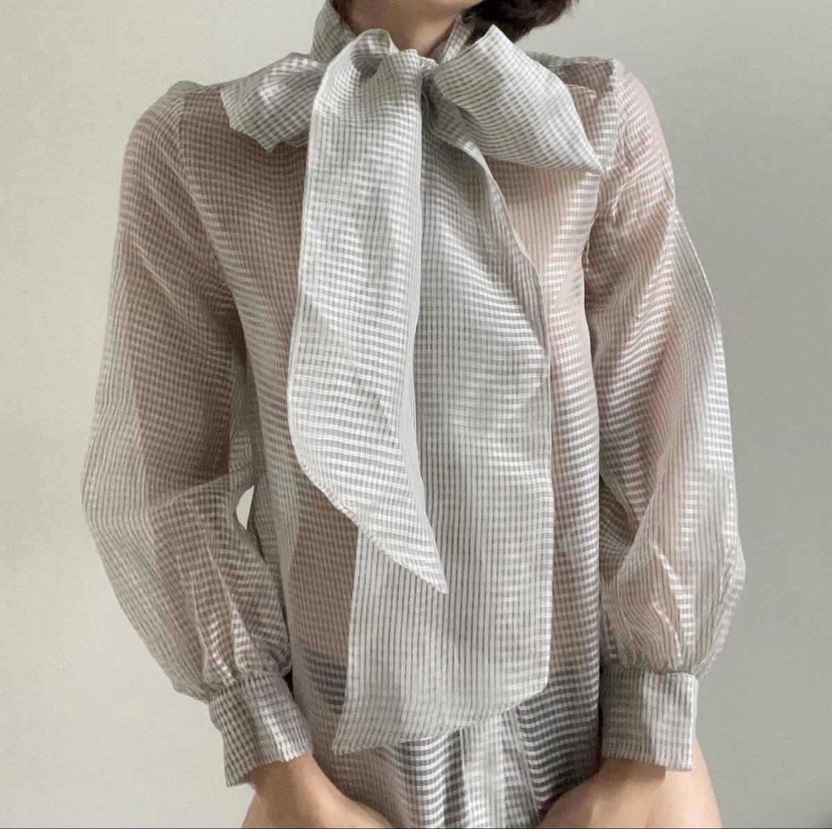 Zara Blusen: Sheer Blouse from Zara – Neu (gemäss Beschreibung) aus Adliswil von DariaU0709