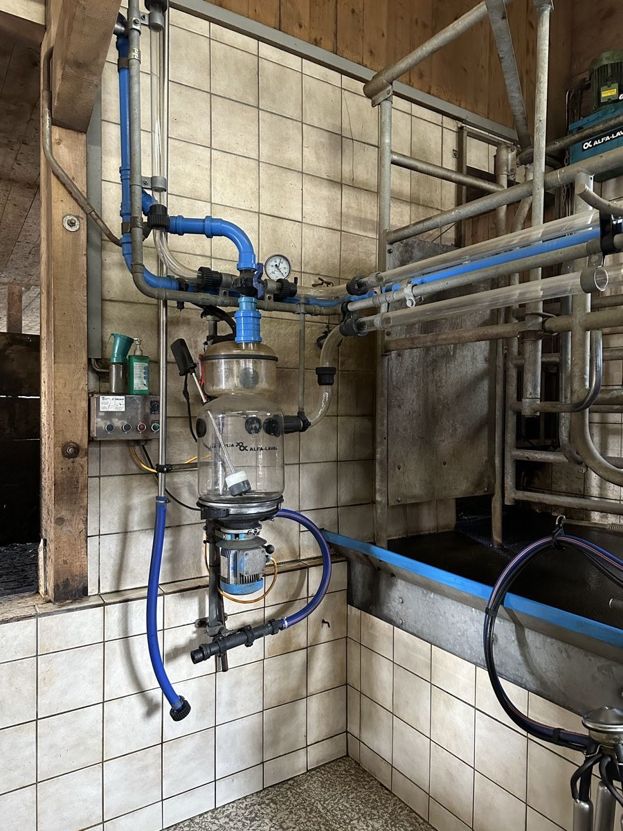 Delaval Tutte le macchine: Melkanlage – Usato da Klosters Dorf venduto da armin94 3