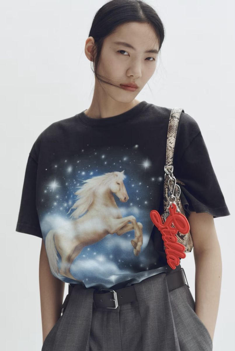 Stella McCartney Borse: Stella McCartney Anhänger Neu – Nuovo e nell'imballaggio originale da Obfelden venduto da cesarina10 1