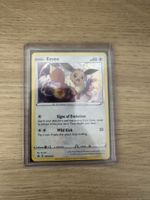 Pokémon Eevee SWSH042