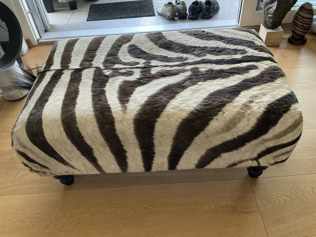 Sgabelli: Zebrafell original Hocker – Usato da Wetzikon ZH venduto da Uturn4 4