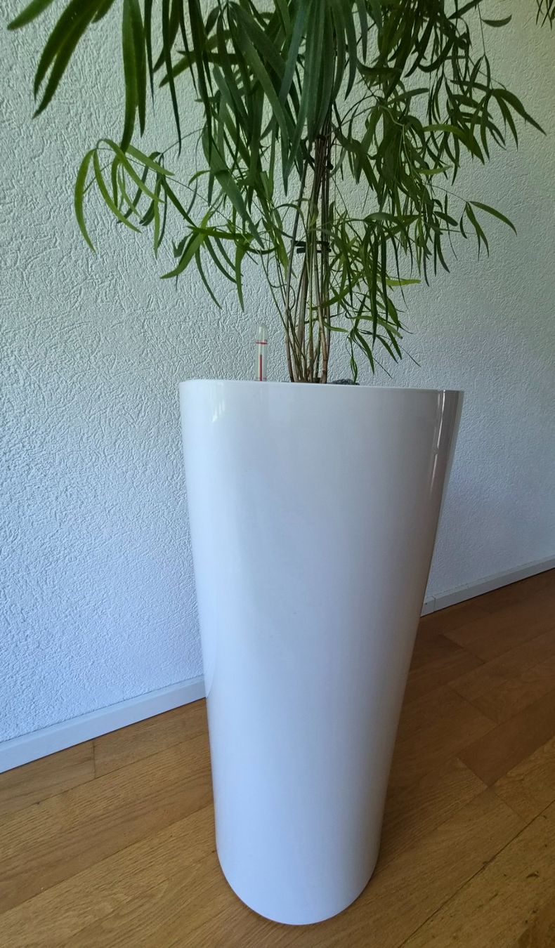 Lechuza Vasi per fiori: Zimmerpflanze + Lechuza Topf – Usato da Zurich venduto da vik_x7tq 2