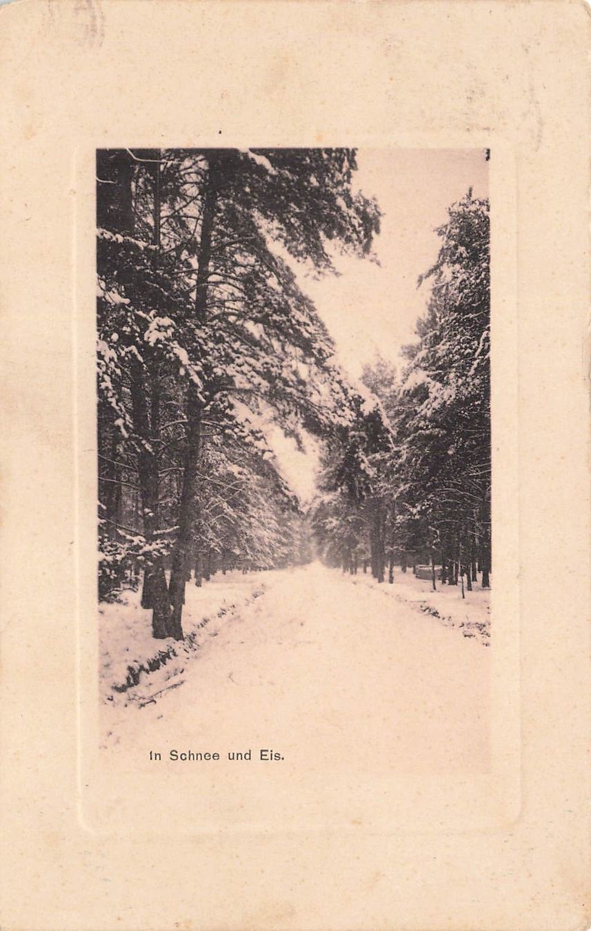 Cartoline postali: Im Schnee und eis – Usato da Biasca venduto da Blenio71