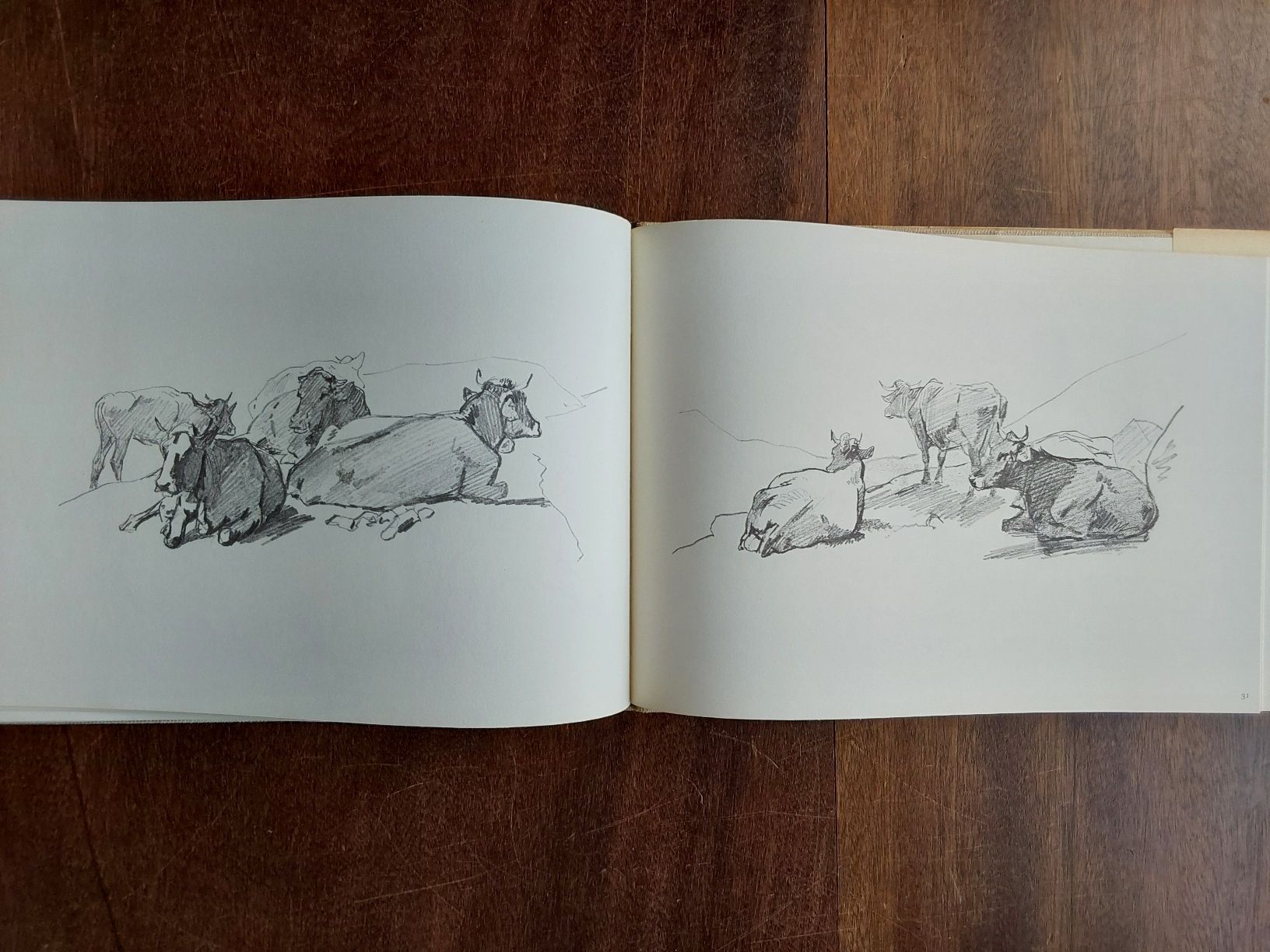 Livres: Rudolf Koller 1966 mit 50 Seiten. – D'occasion à Steinach par Chilli1957 7