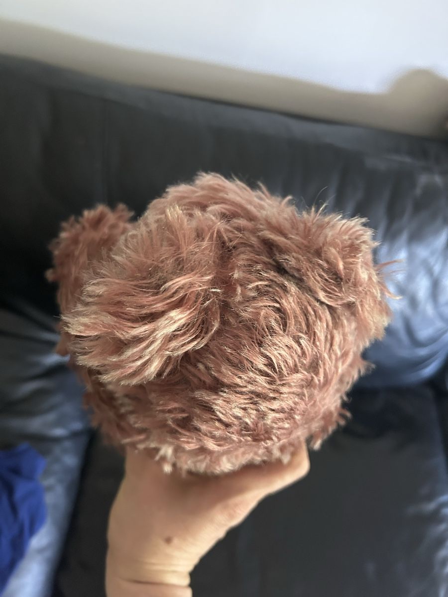 Steiff Giocattoli: Steiff Teddy Zotty – Usato da Bülach venduto da larson27 6