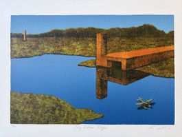 Lithographie Long Distant Flight signée numérotée 2/50