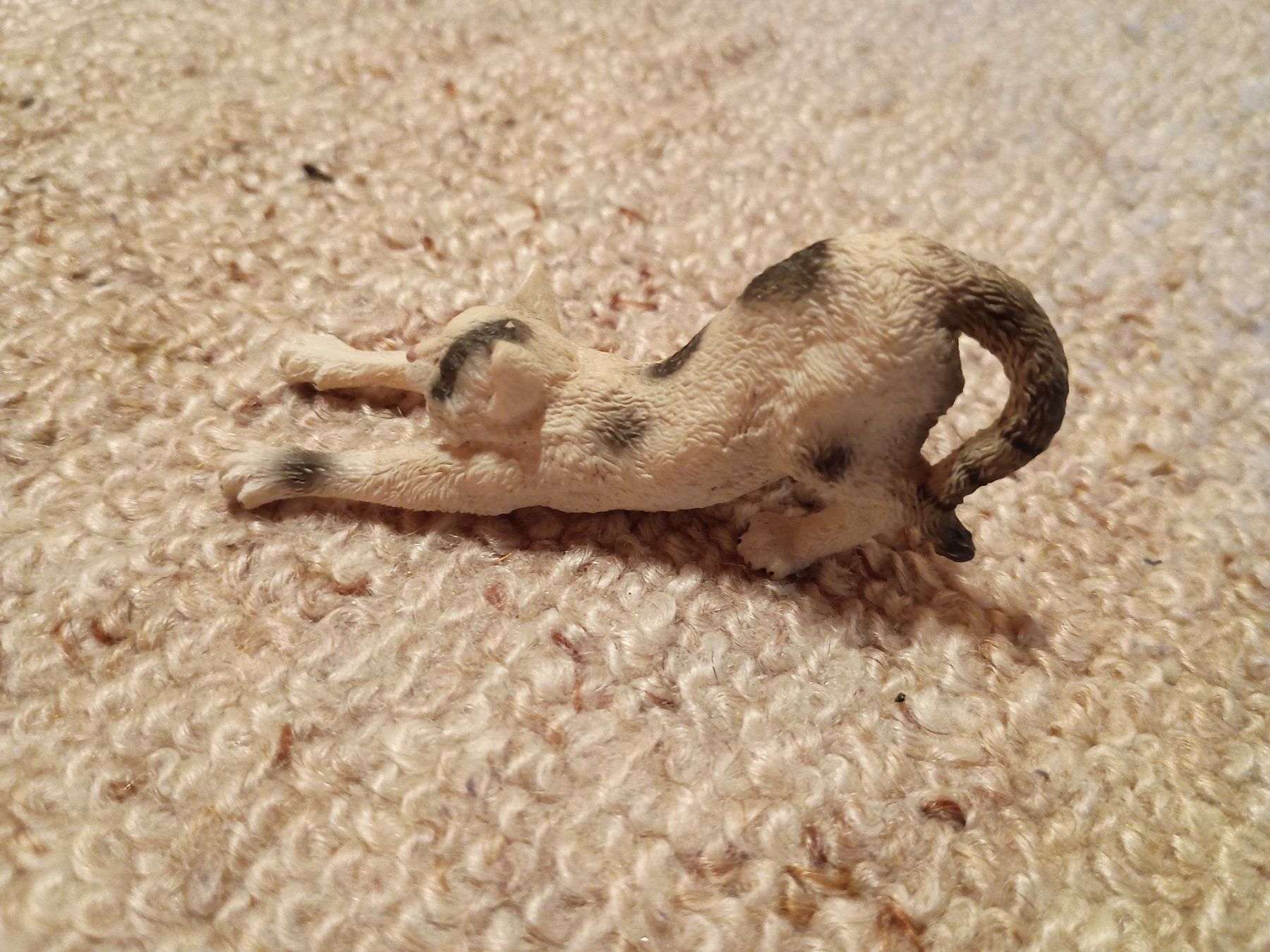 Schleich Figuren: Schleich 13677 Kater/Katze, streckend, 2010 – Neu (gemäss Beschreibung) aus Buchs AG von ReaNaTsch
