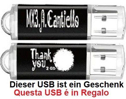 Strumenti musicali: Akkordeon / Mandoline  USB 8Gb + USB Gratis – Nuovo (secondo la descrizione) da Locarno venduto da Antonio41 3