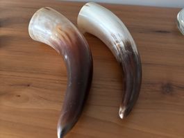 Hörner, 2 Stück