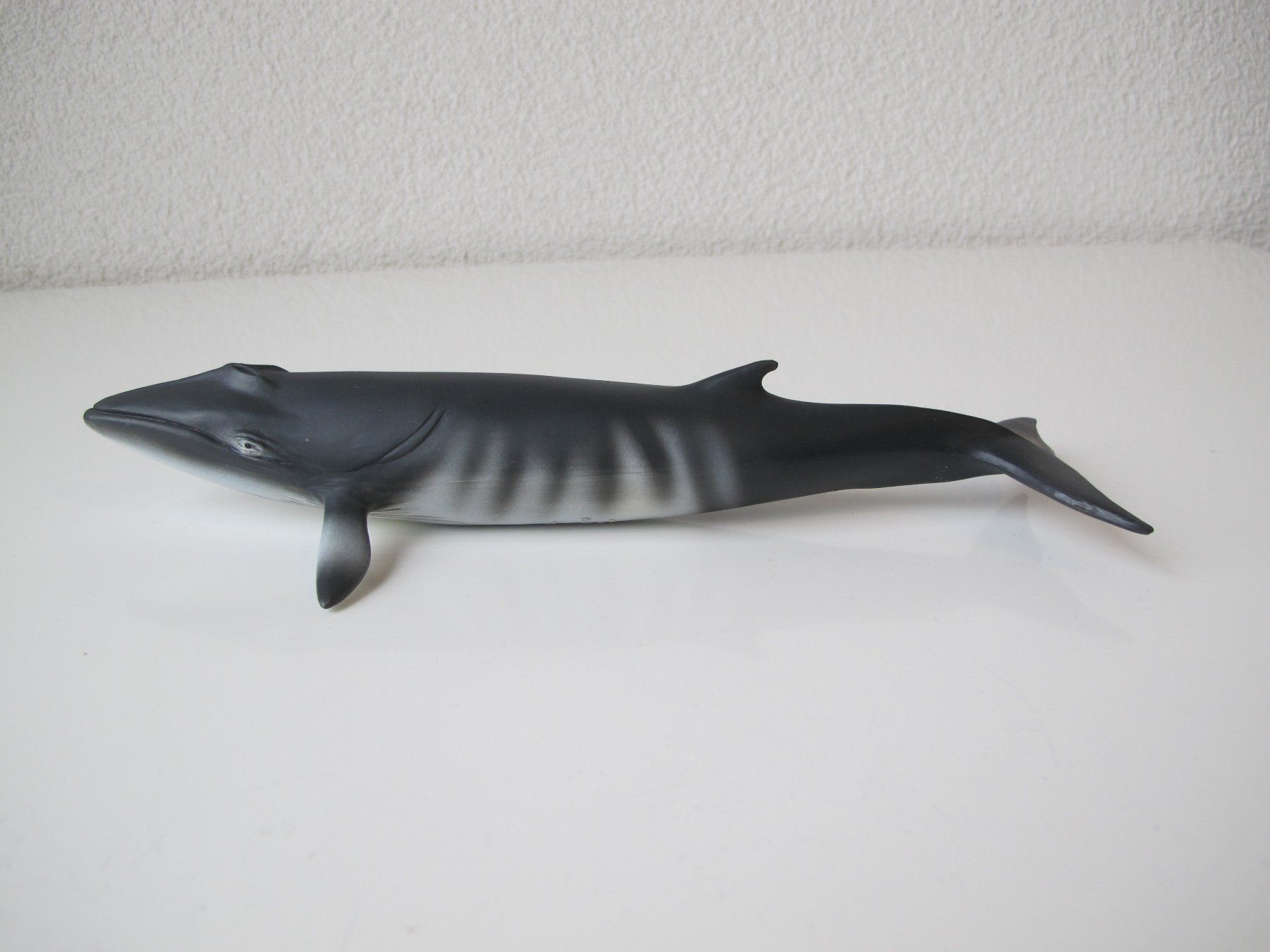 Schleich Figuren: Schleich 16087 Zwergwal Walfisch – Gebraucht aus Vilters von hedi00