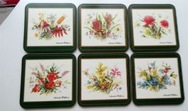 NEUE Untersetzer Pimpernel Australian Wildflowers Wildblumen
