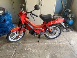 Vengo motorino Malaguti 