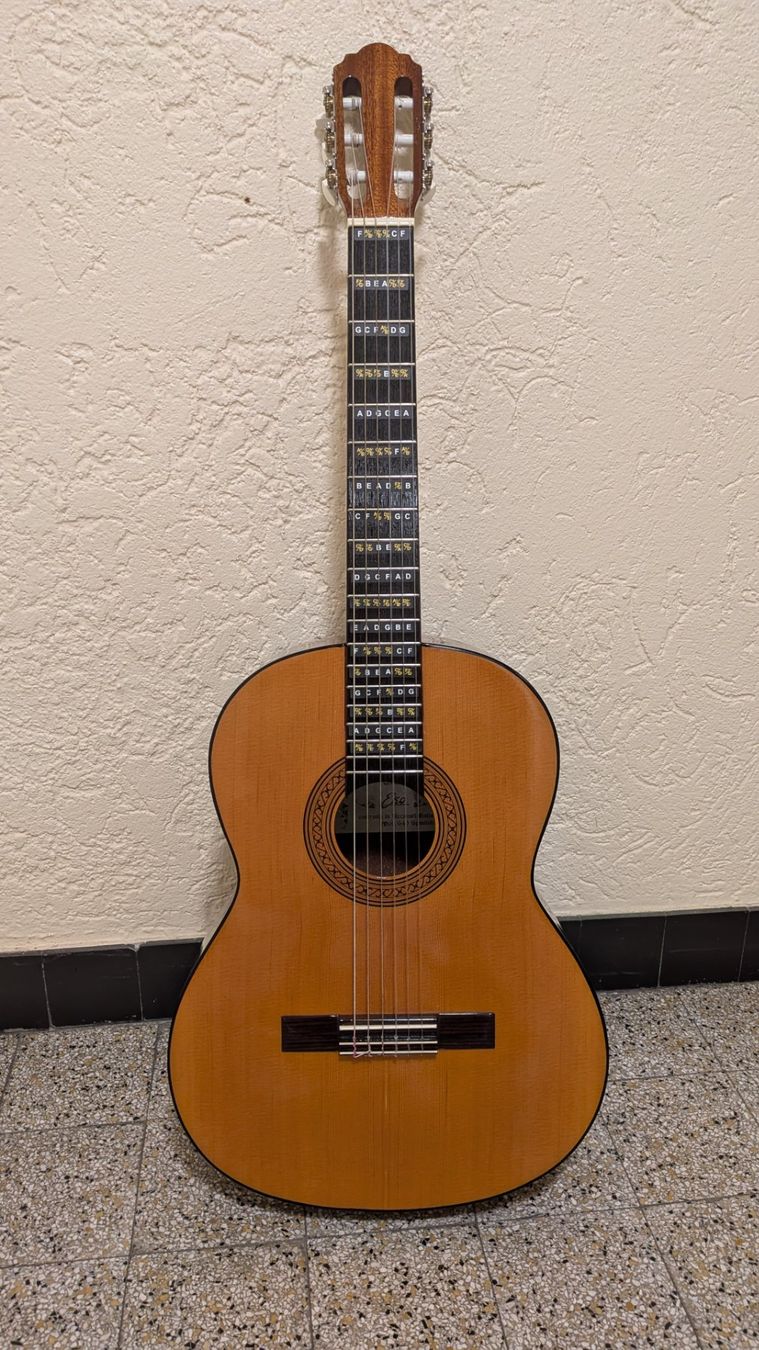 Eko Instruments de musique: Eko Mod. 649 Spanish – D'occasion à Bern par KlickUndWeg