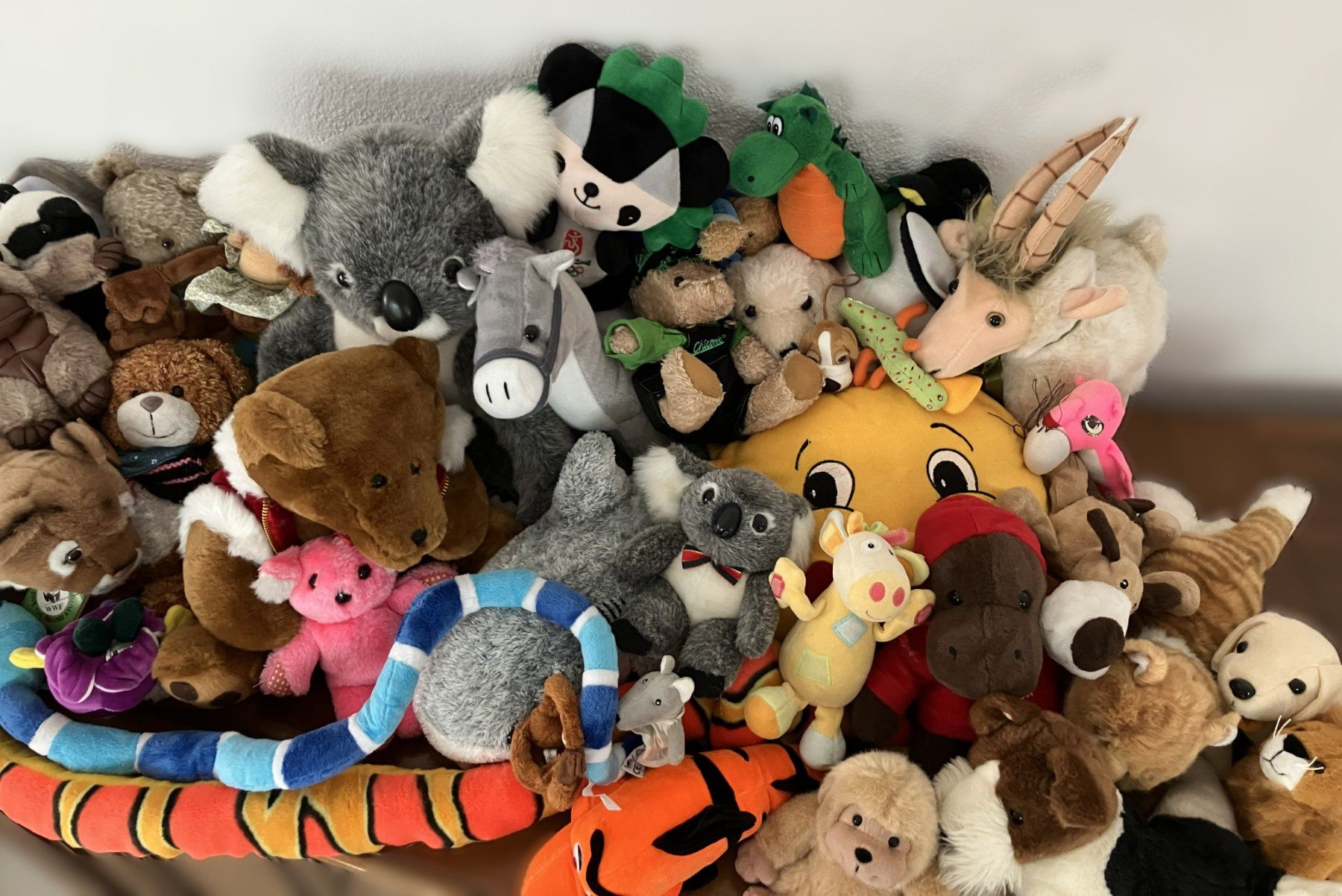 Giocattoli: Riesen-Kuscheltier-Sammlung – Usato da Luzern venduto da FeU 1