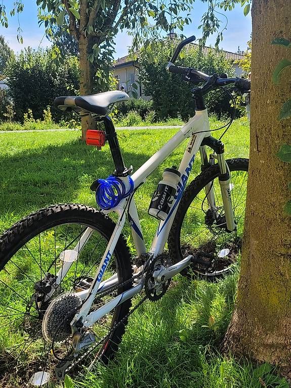 Biciclette: Bike blau-weiss Giant – Usato da Gutenswil venduto da taminu 3