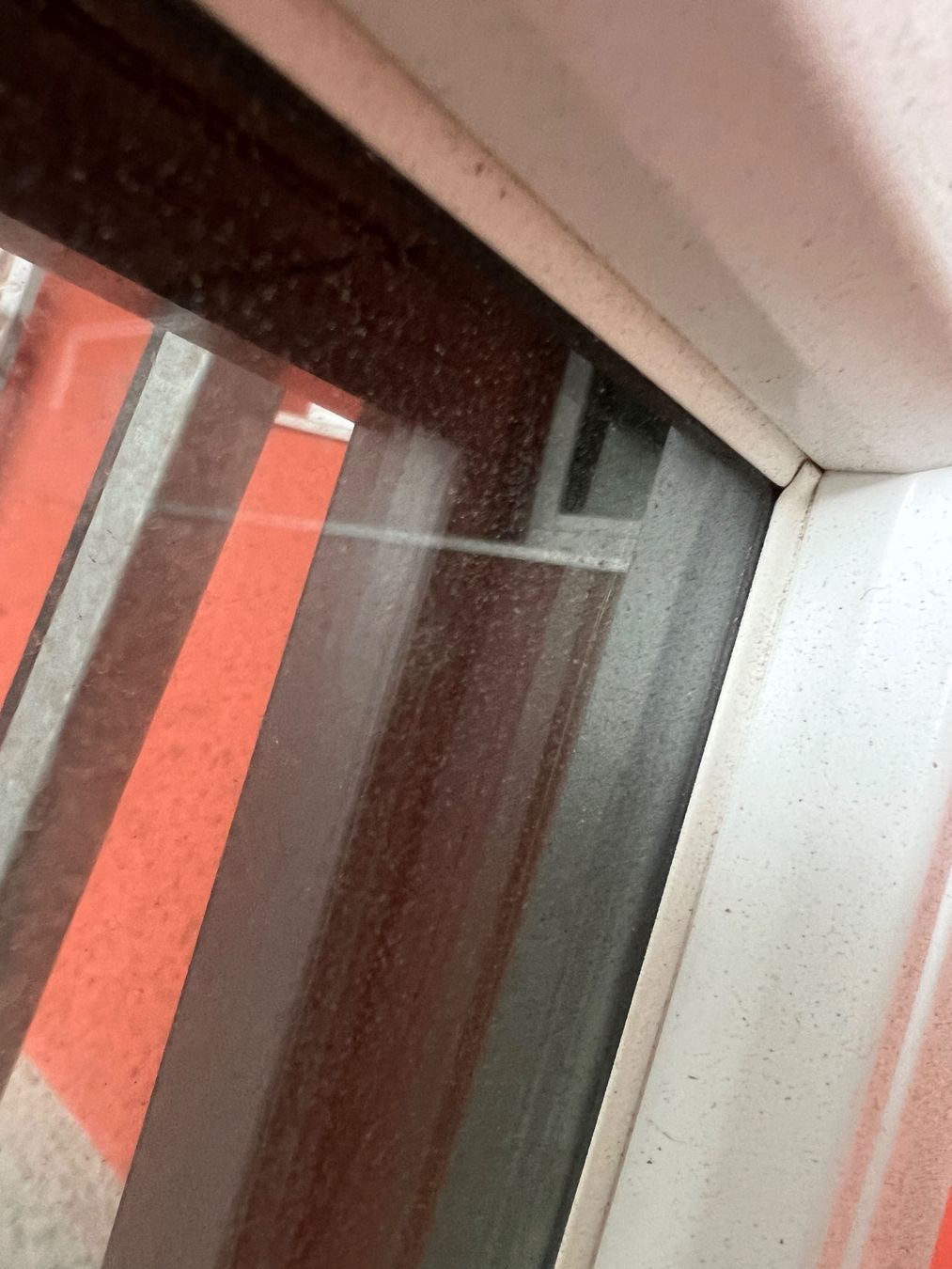 Finestre: 3 Fenster neu! – Nuovo (secondo la descrizione) da Egg b. Zürich venduto da SwissTradingAgency 3