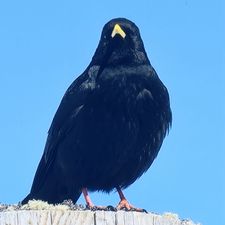 Profile image of fre_sx78