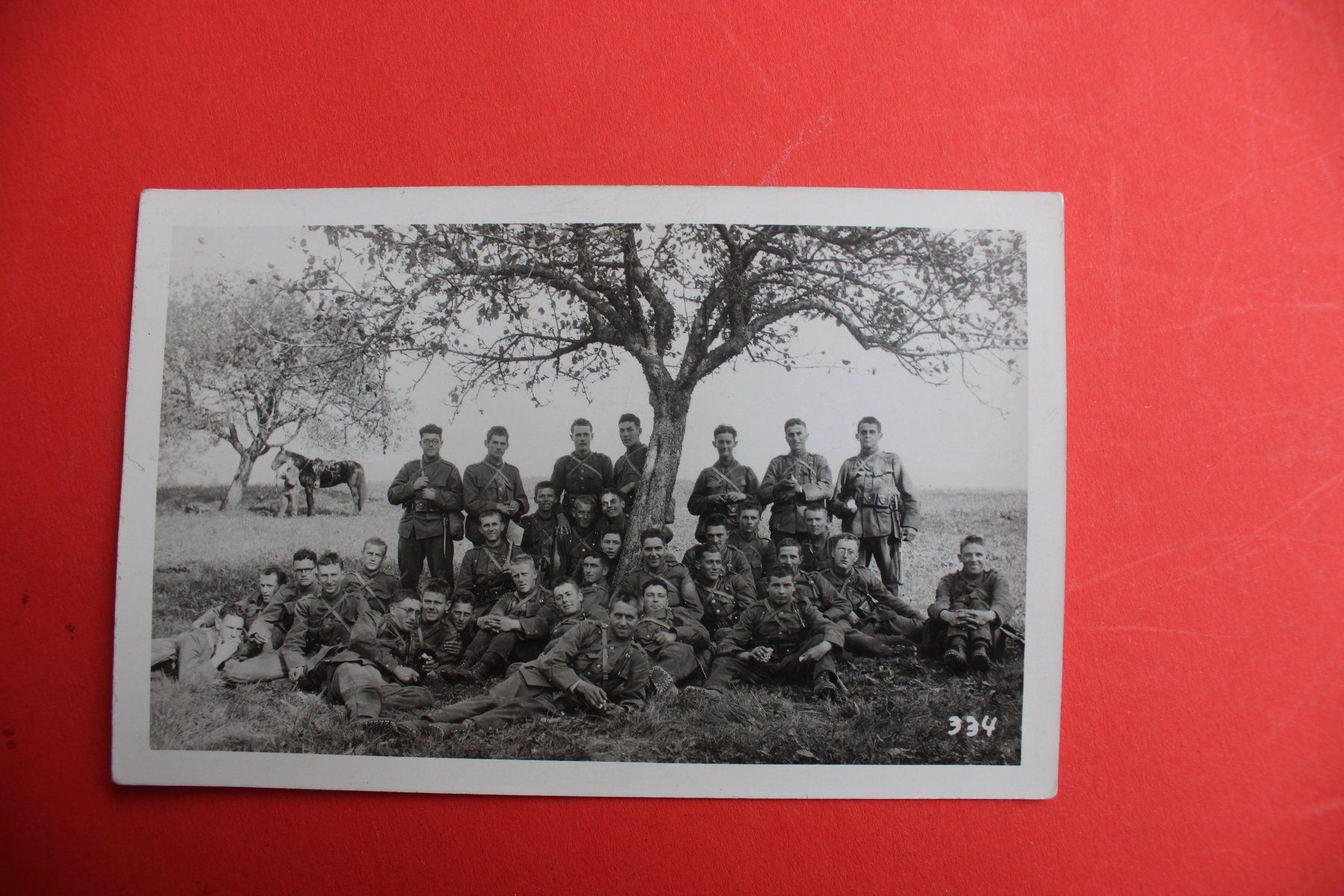 Cartoline postali: Carte Postale AK Militär – Usato da Wettswil venduto da roma010