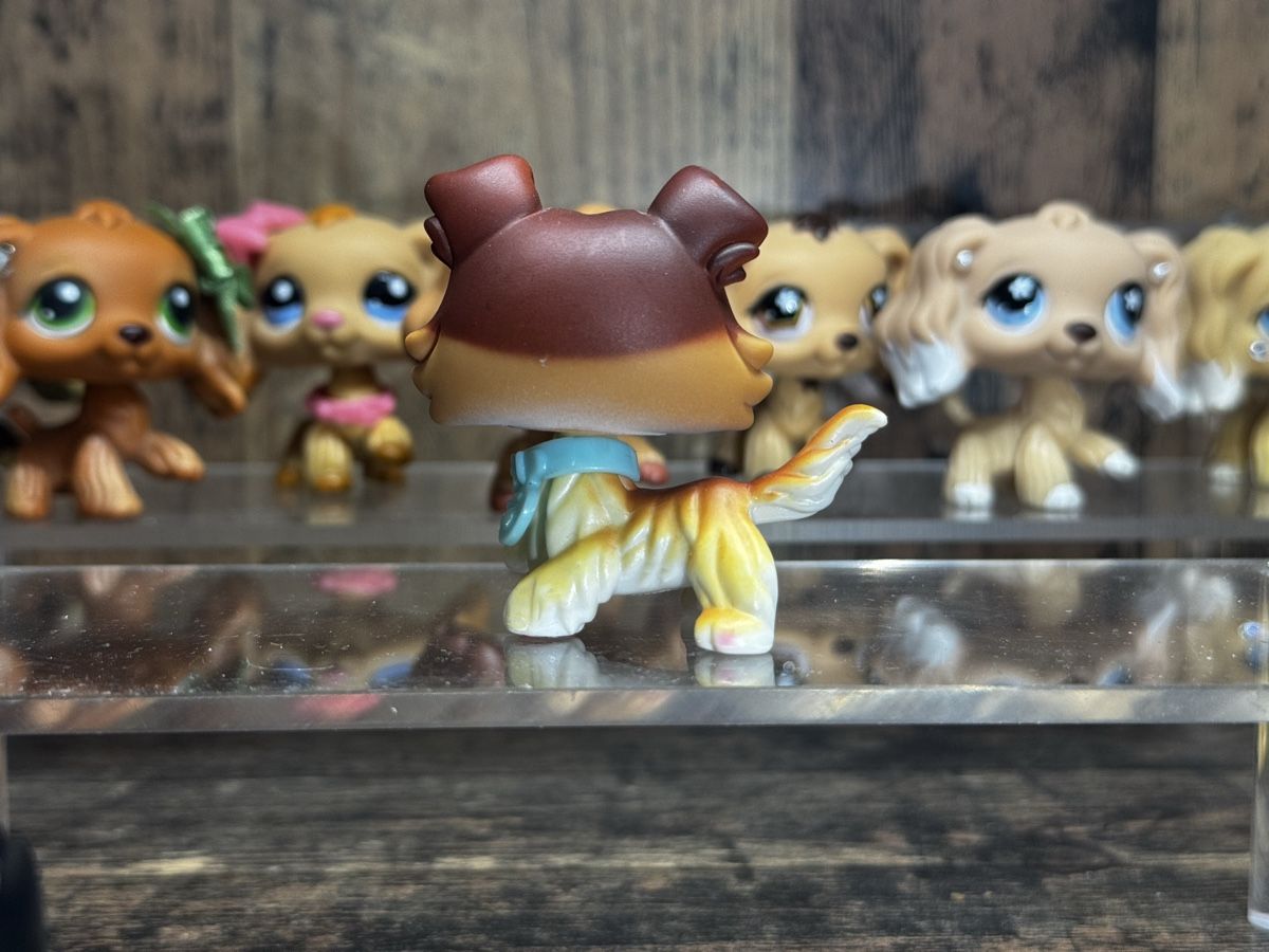 Hasbro Jouets: Littlest pet shop collie – D'occasion à Luzern par Maja.C 1