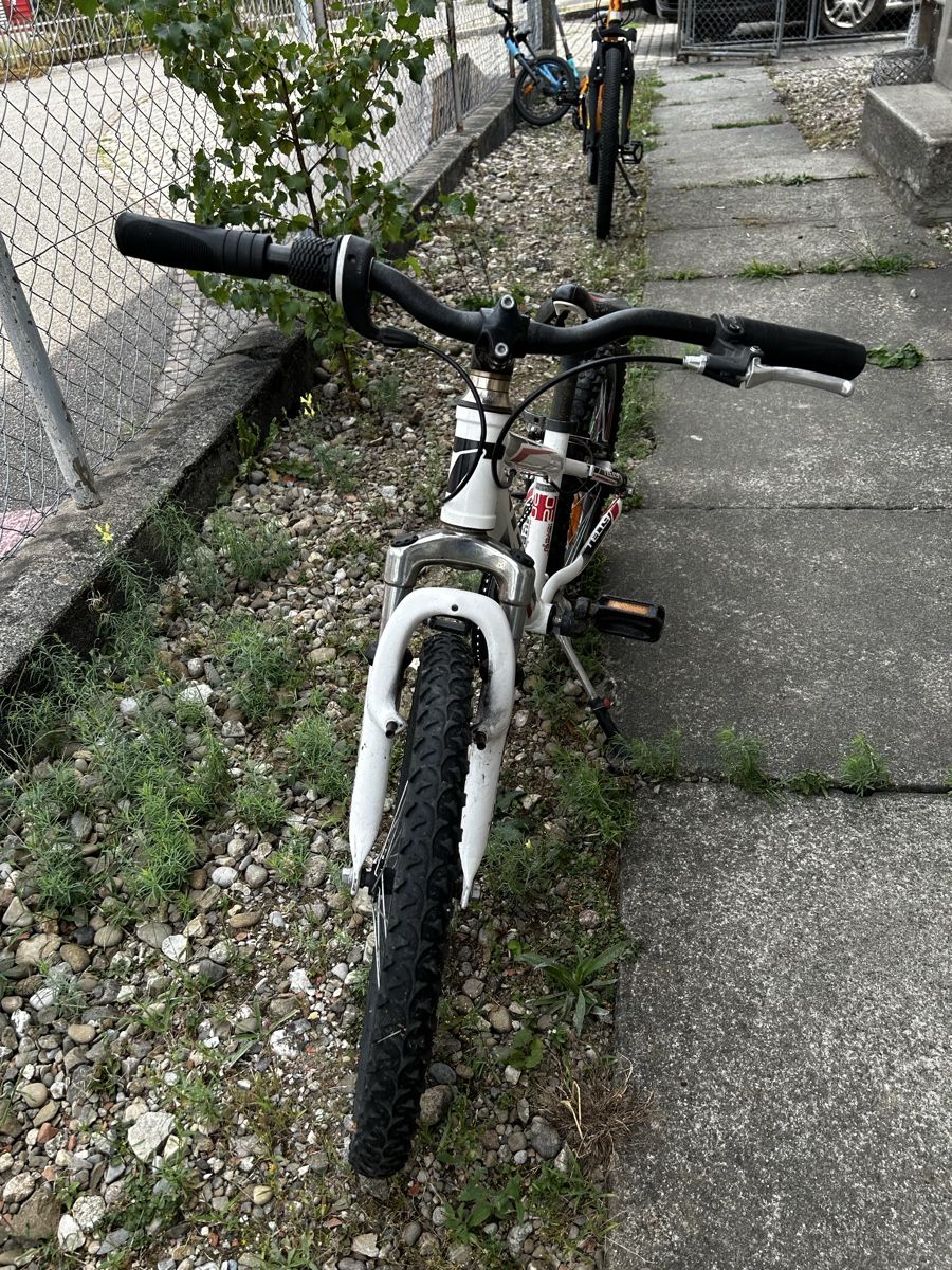 Velos: MTB – Gebraucht aus Niederönz von reg_kbj2 1