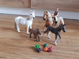 Schleich Pferde