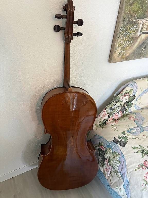 Strumenti musicali: Barock Cello 4/4, Cellobogen Mathias Thoma*** – Usato da Hergiswil NW venduto da MiTerwi 3