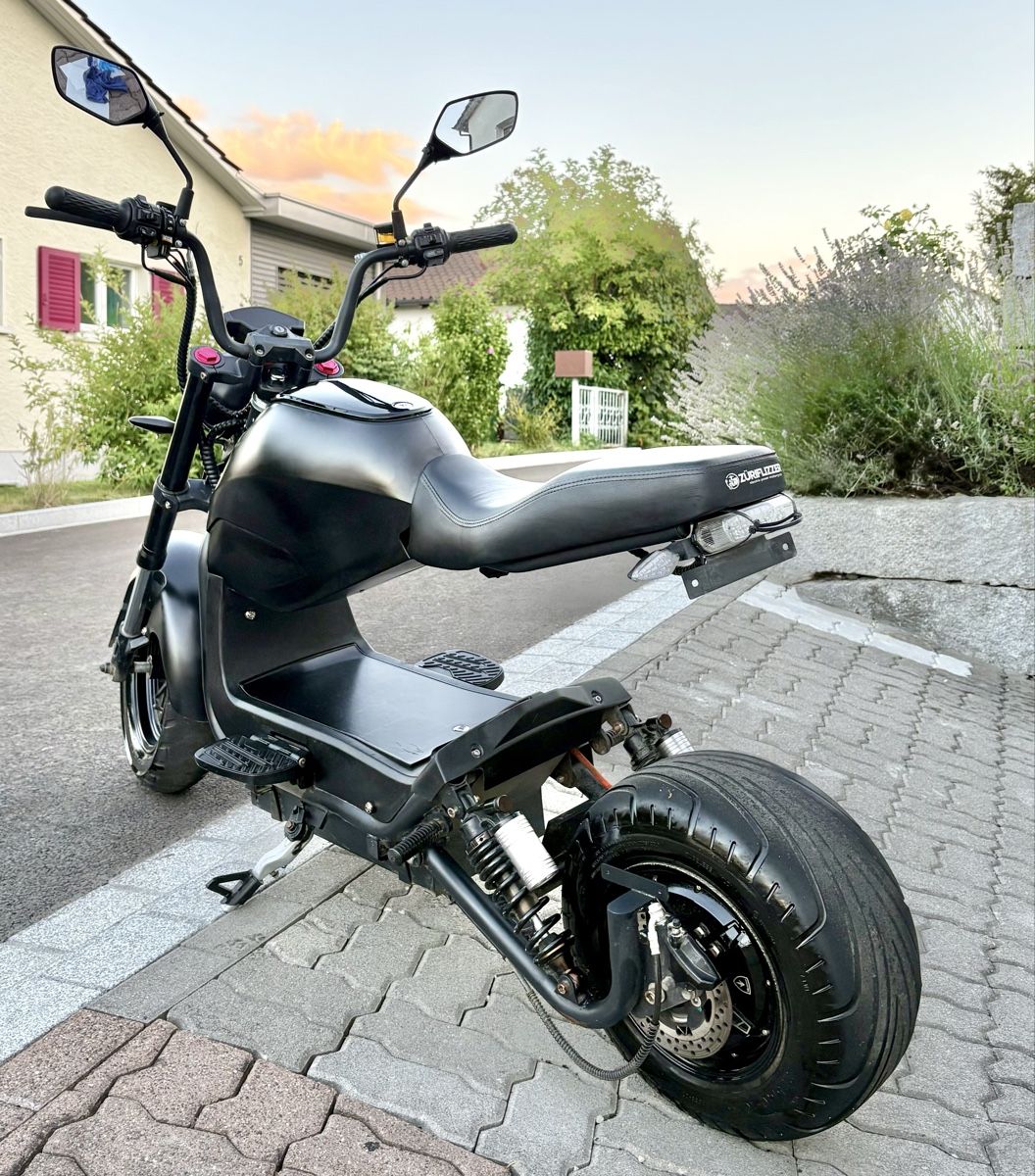 Züriflizzer Scooters: City Max RS Pro – D'occasion à Rudolfstetten par Hansbrunnen 3