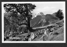 AK,GL Braunwald , 1947