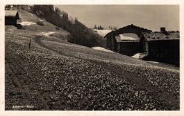 Schiers - Stels