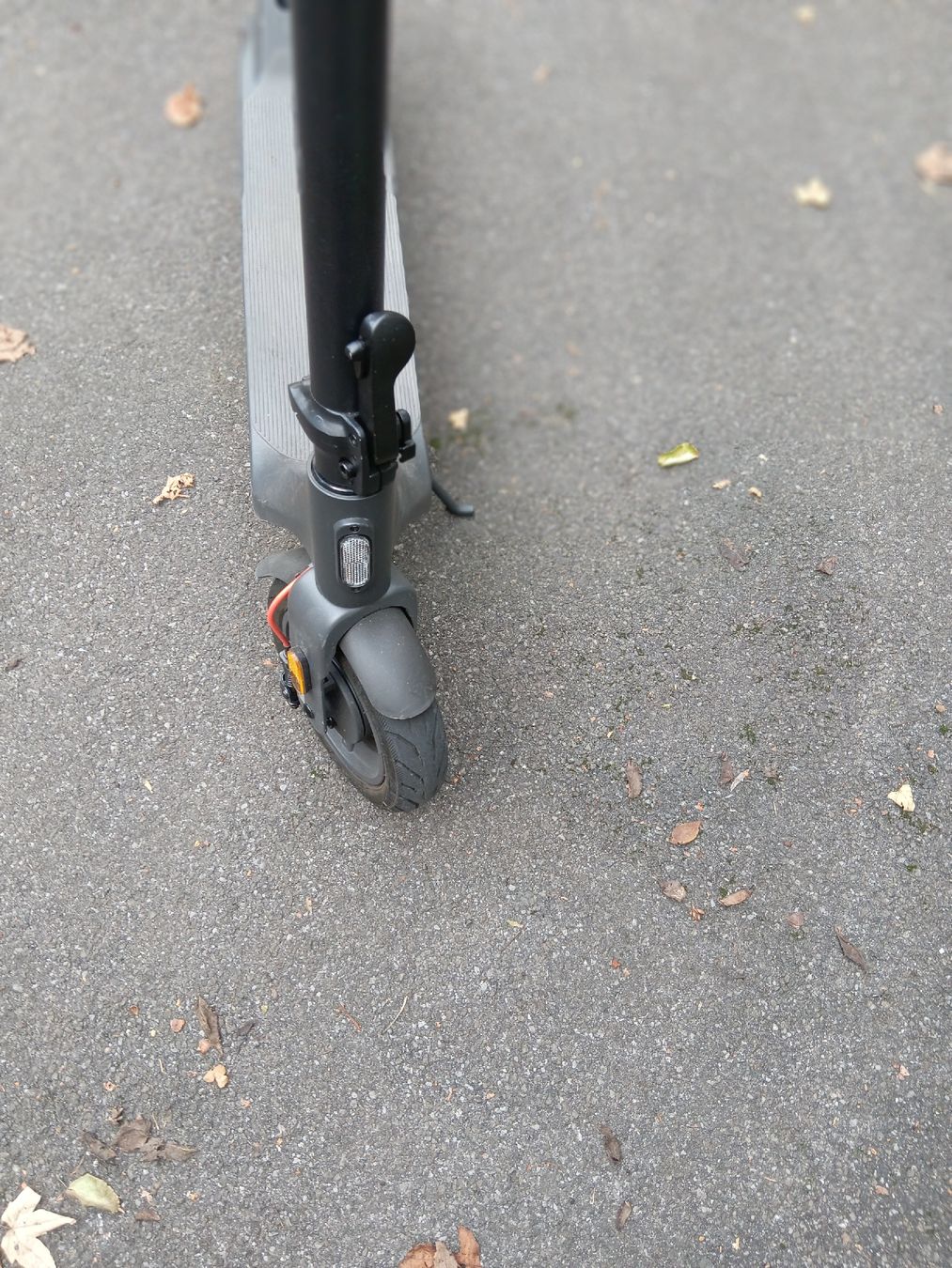 Scooter: e-scotter xiaomi – Usato da Goldswil venduto da buri299Soi 5