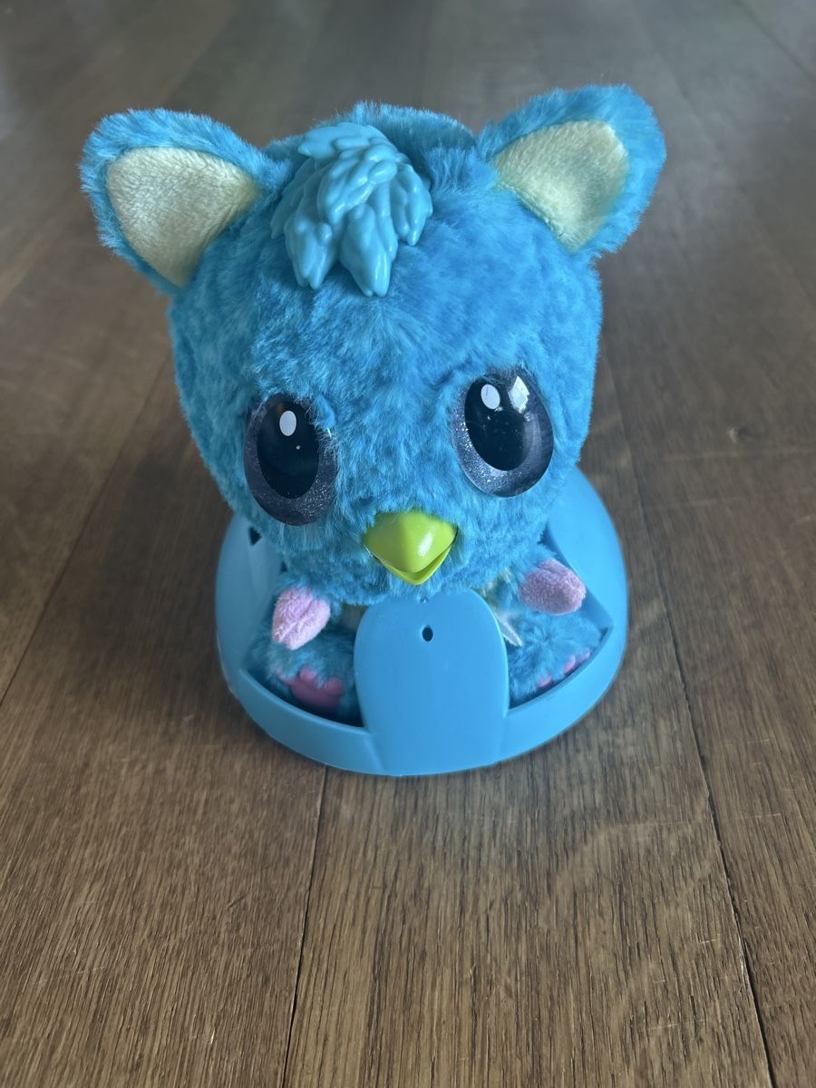 Hatchimals Spielzeuge: Hatchimal – Gebraucht aus Liebefeld von heblow