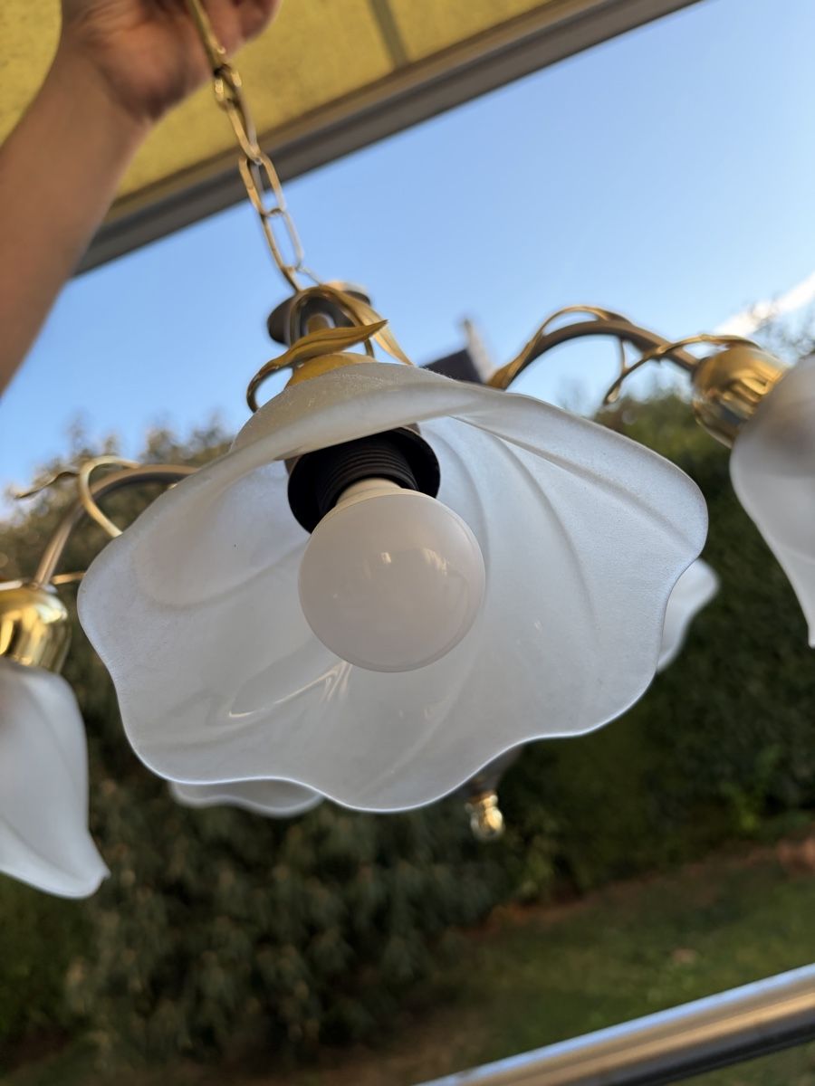 Kronleuchter & Deckenlampen: Deckenleuchte Messing mit 5 Glasschirmen – Gebraucht aus Zürich von dor_9l9g 3