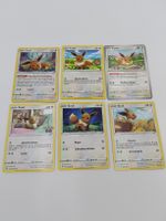 Pokémon Evoli / Eevee 6er Fan-Bundle | Für Liebhaber! AB 1.-