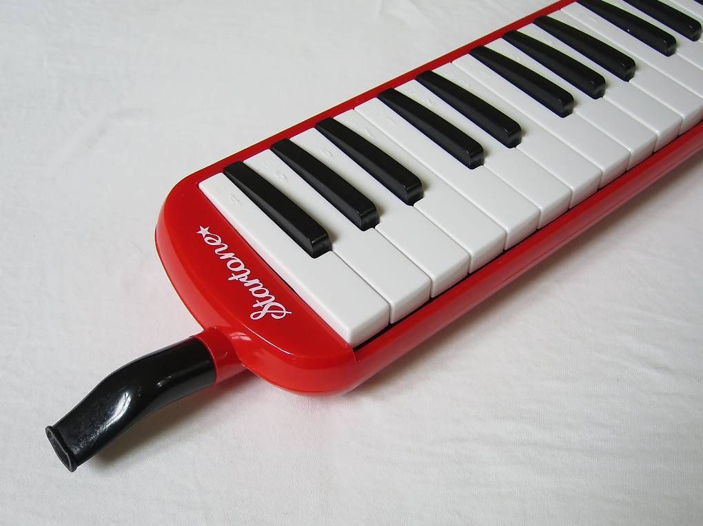 Strumenti musicali: Melodica – Usato da Zürich venduto da Furgers 2