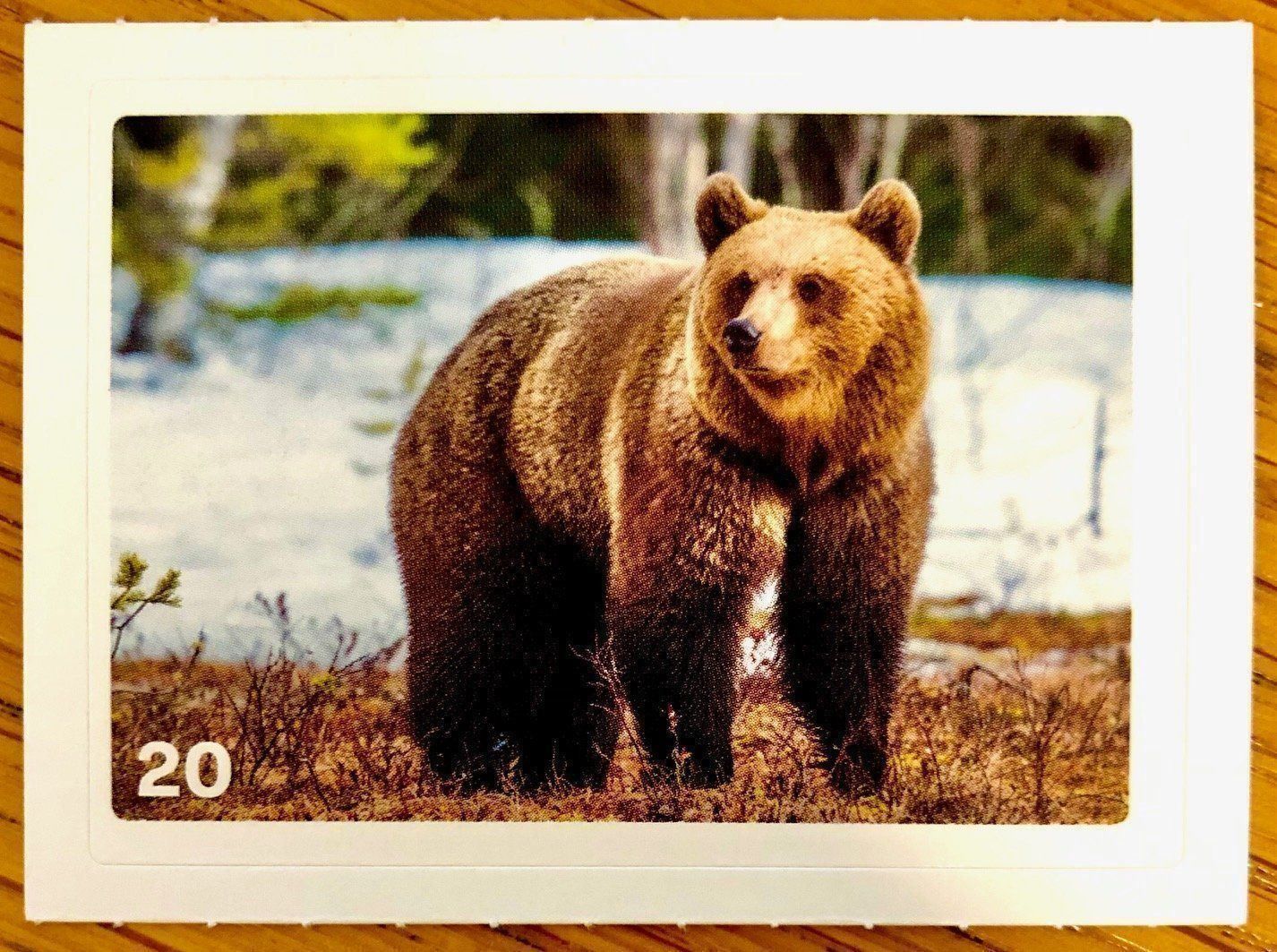 Migros Carte collezionabili: Migros Nature Detectives - Bild Nr. 20 – Nuovo (secondo la descrizione) da Oberrieden venduto da Zimmerberg10