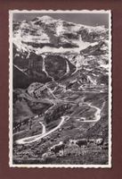 KLAUSENPASS - Jägerbalm - Klus - Vorfrutt - Kühe - 1951