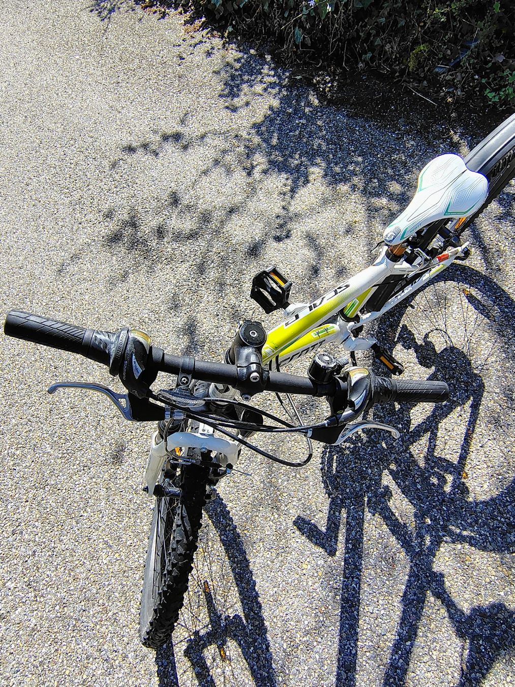 Scott Biciclette: Scott Voltage 24, Mountainbike – Usato da Schindellegi venduto da lev_69c6 1