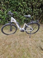 Cresta E-Bike Bosch Performance Line