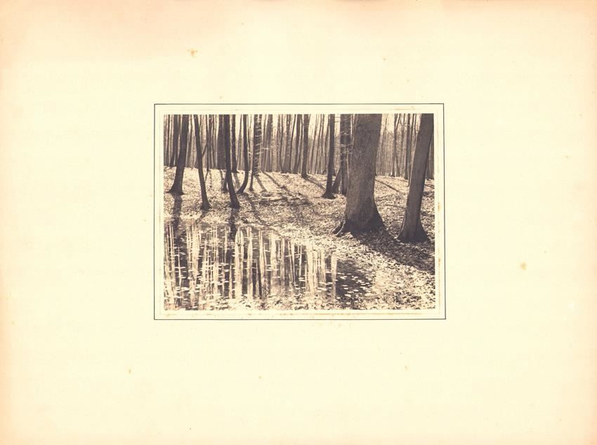 Fotografie Albin Müller, Hamburg, Teich Kaufen auf Ricardo